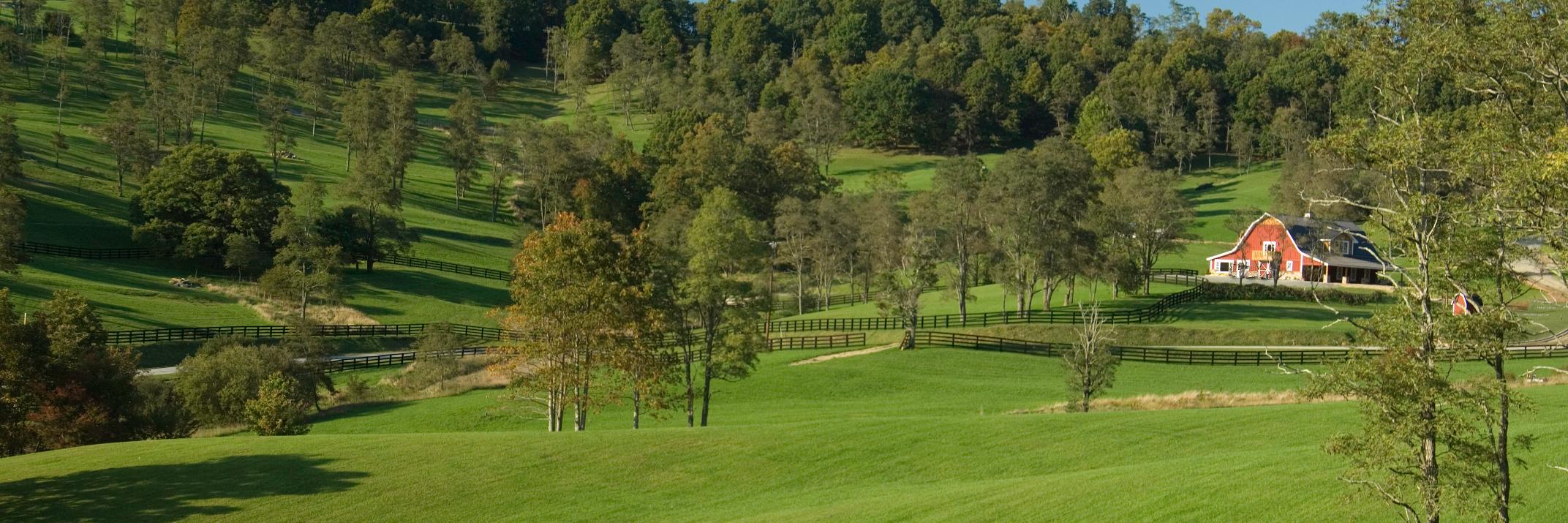 GHBearwallow's profile banner image