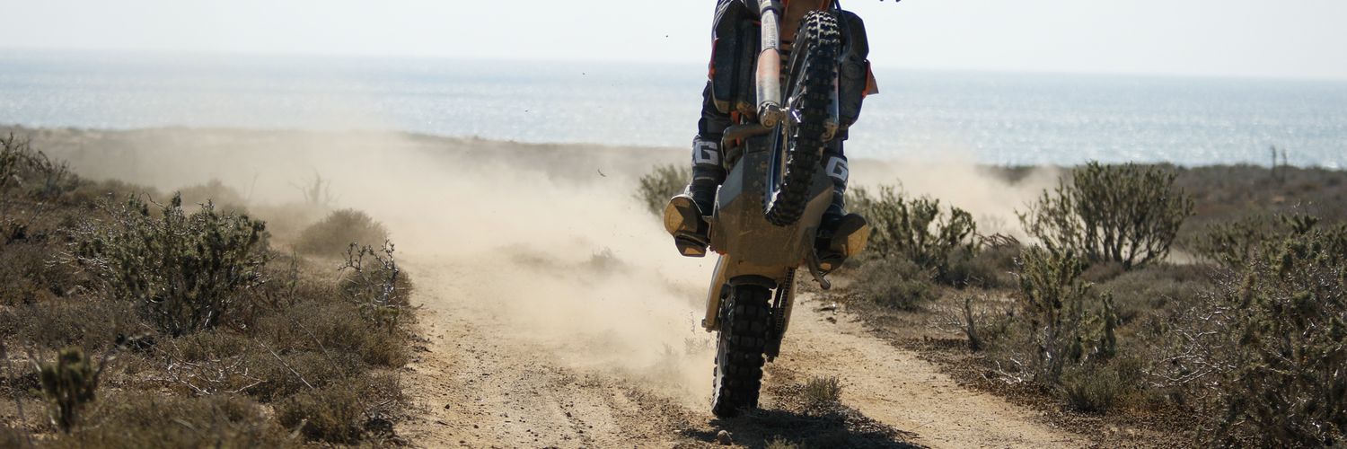 BlackDogCW's profile banner image