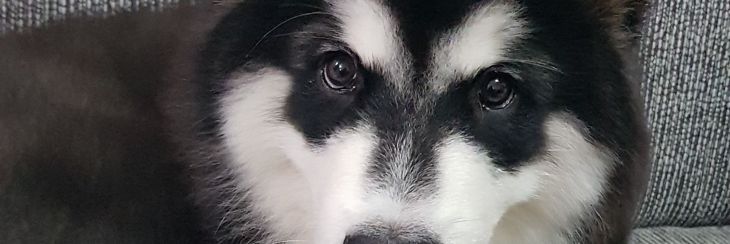 mrdkCavida's profile banner image