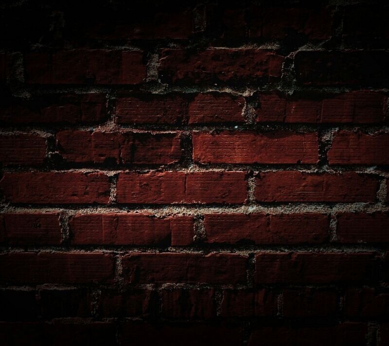 raptoresss's profile banner image