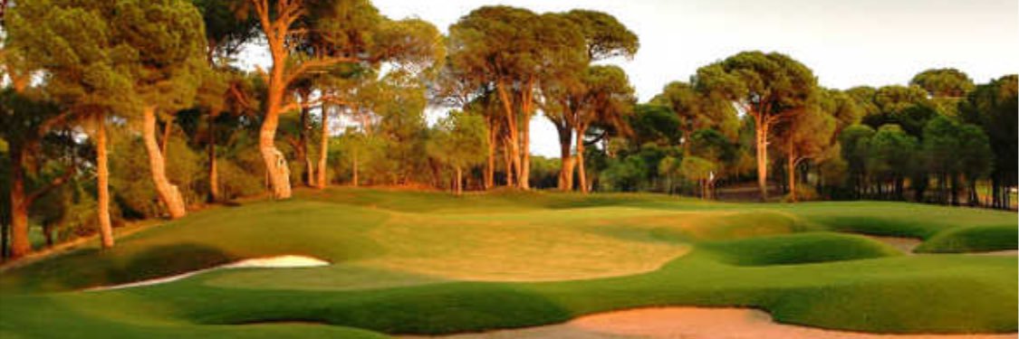 Golf in KENYA banner