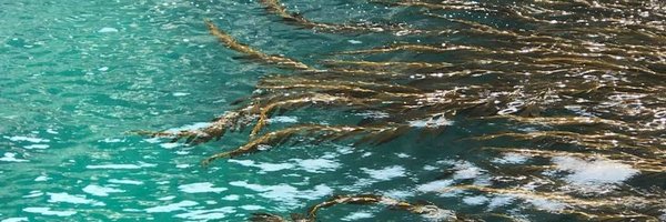 MLVellinga Profile Banner