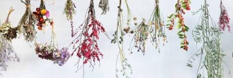 赤 banner