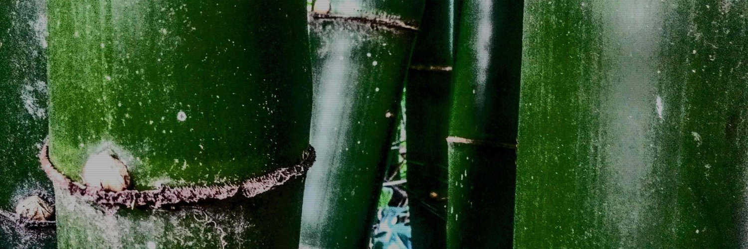 CebeMusic's profile banner image