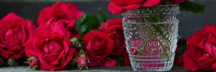 sara_khaldi1's profile banner image