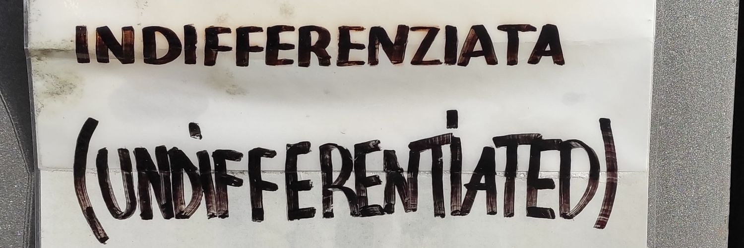 ValentinaDallaCosta banner