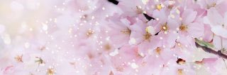 ticket_tag_'s profile banner image