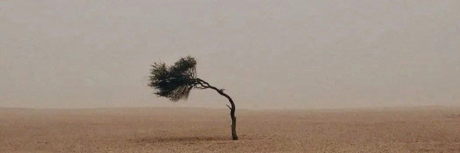 ‏☼𓃬 ساحـره.م ‏ banner