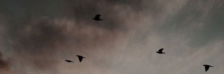 busbusxx's profile banner image