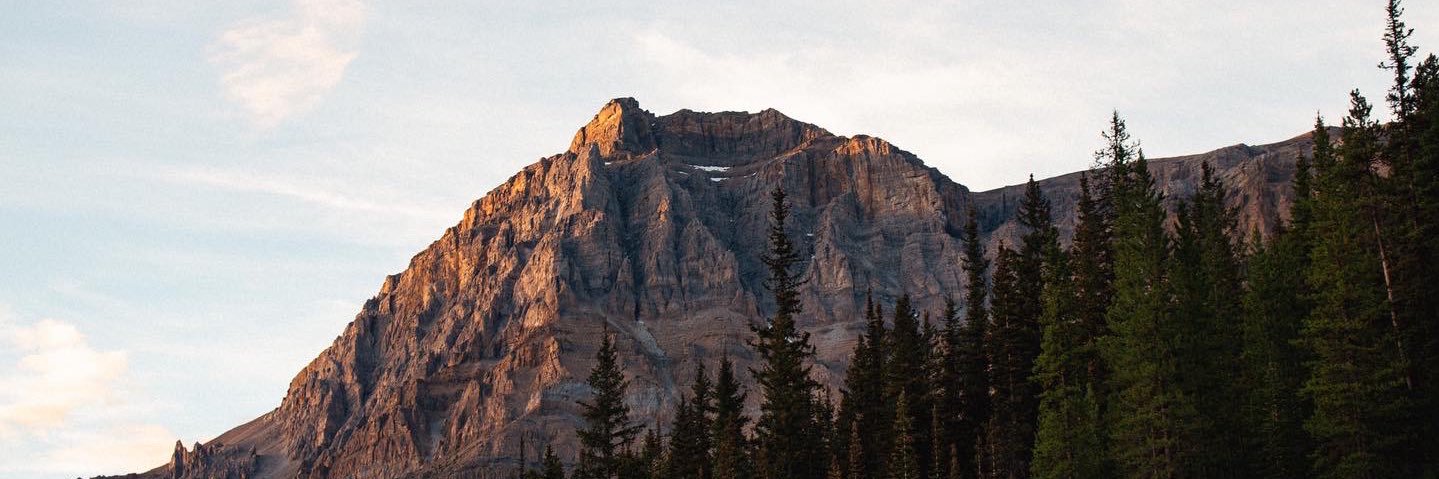 ShaunTheGinger's profile banner image