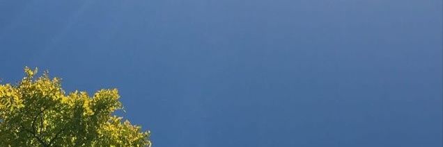 nonnupnip's profile banner image