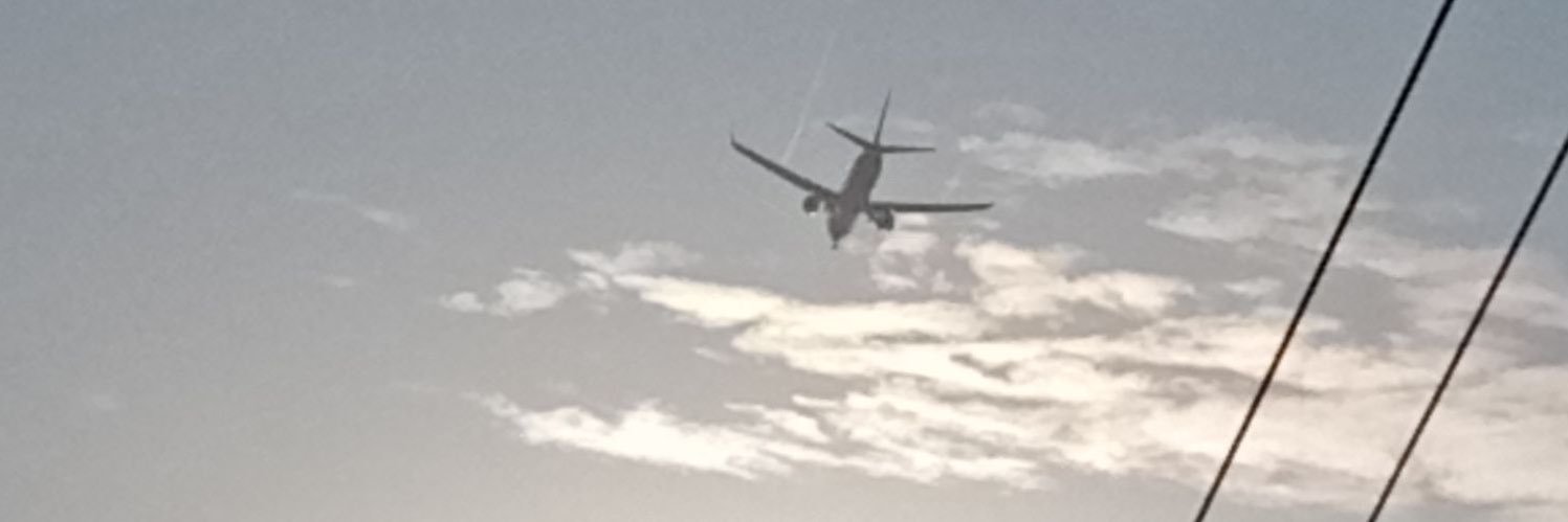 The Eden Wouf banner