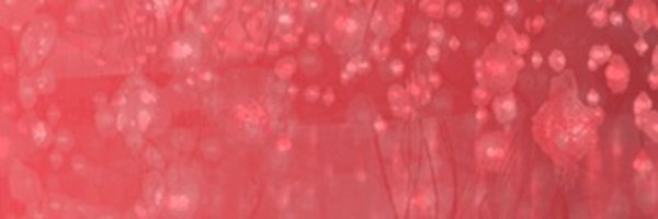 academies_ch Profile Banner