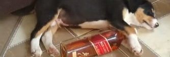 P0K3_'s profile banner image