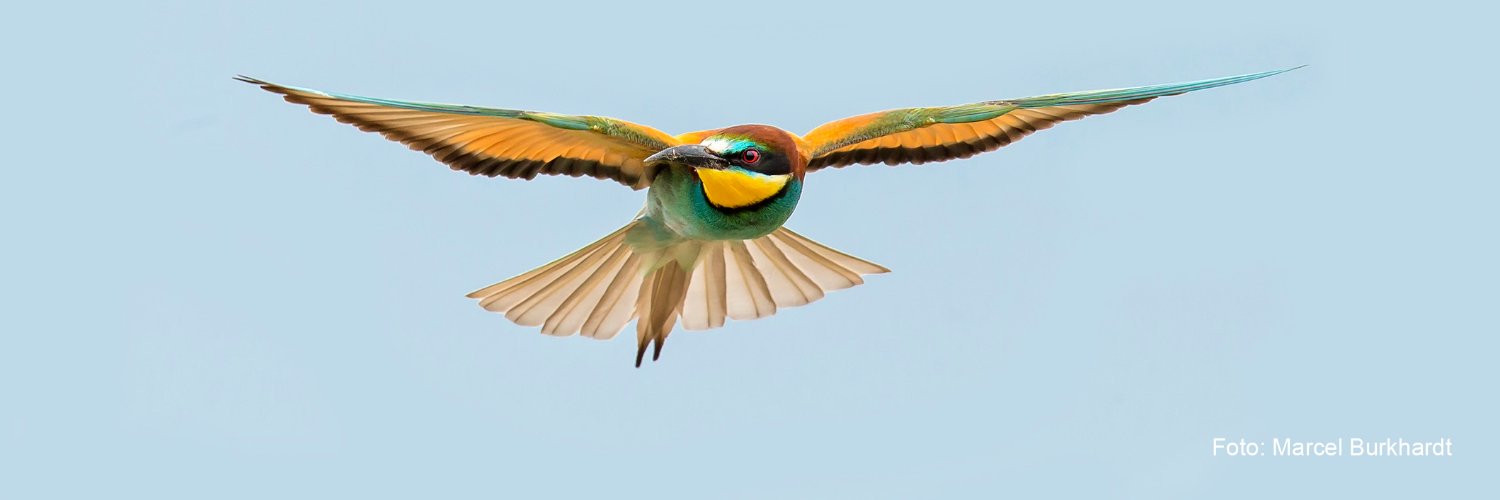 BirdLife Luzern banner