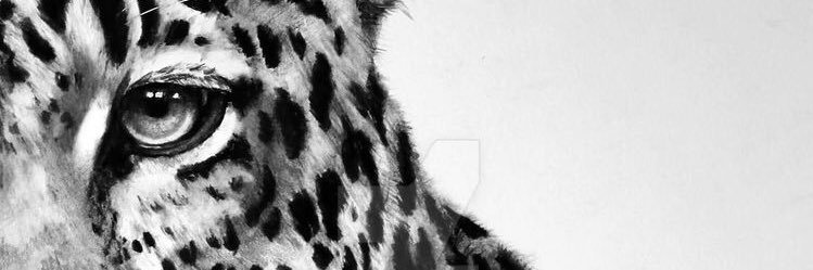 DenisLo15's profile banner image