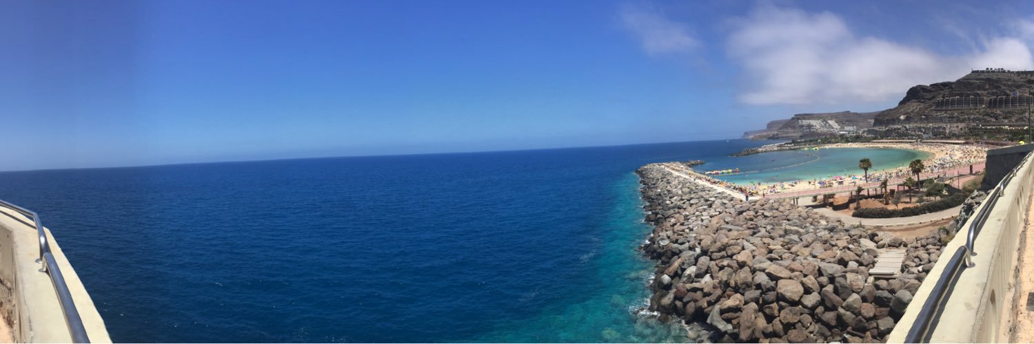 Daniel Vollmann banner