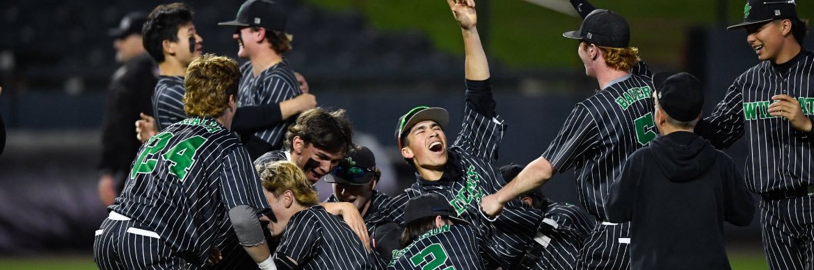 WJ Wildcat Baseball banner