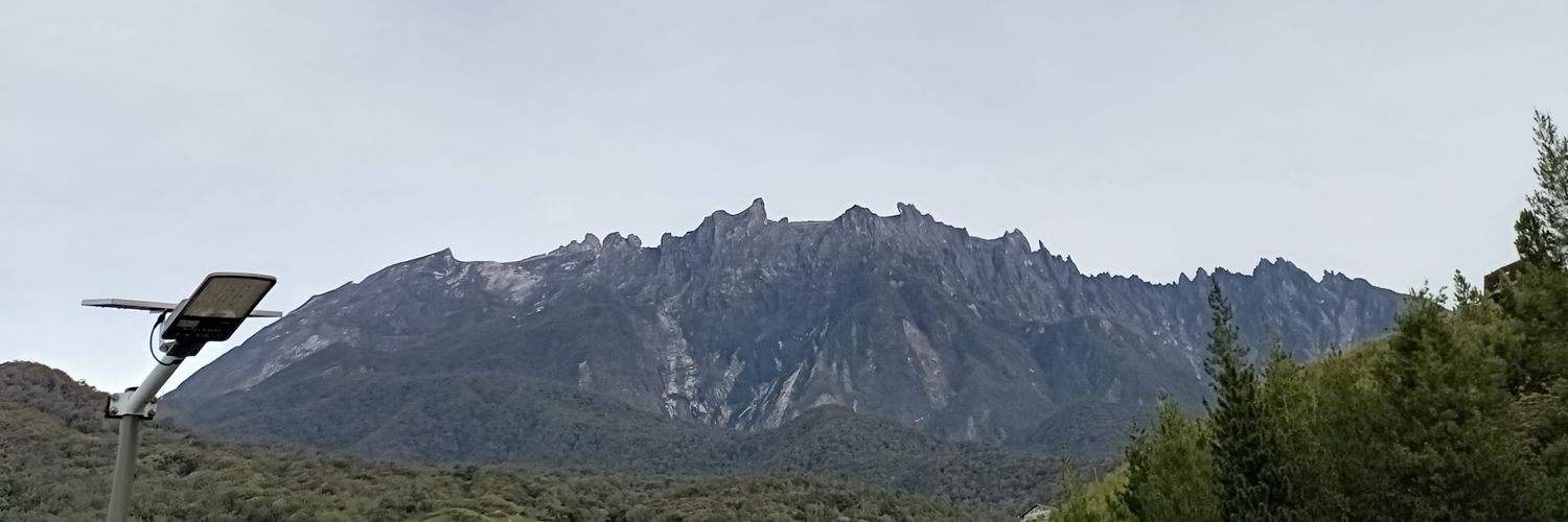 Roy Maxian banner