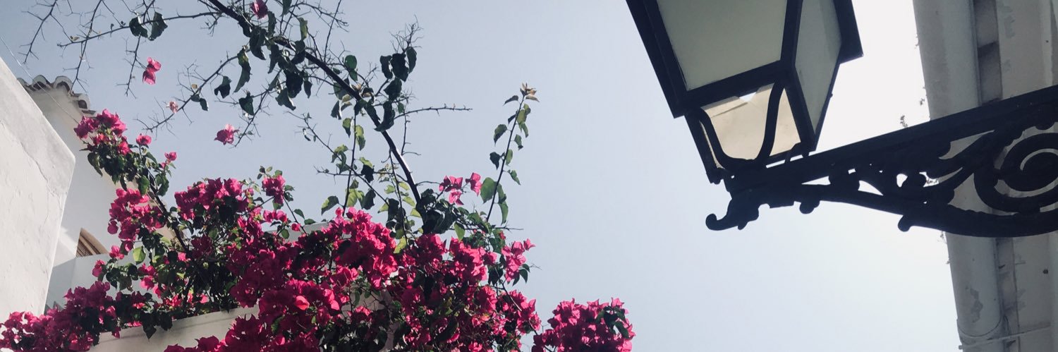 ileniiaa99's profile banner image