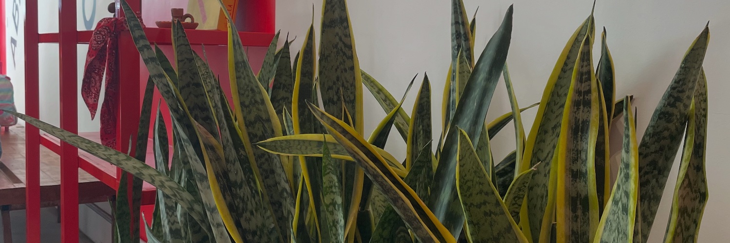 eubrunna18's profile banner image