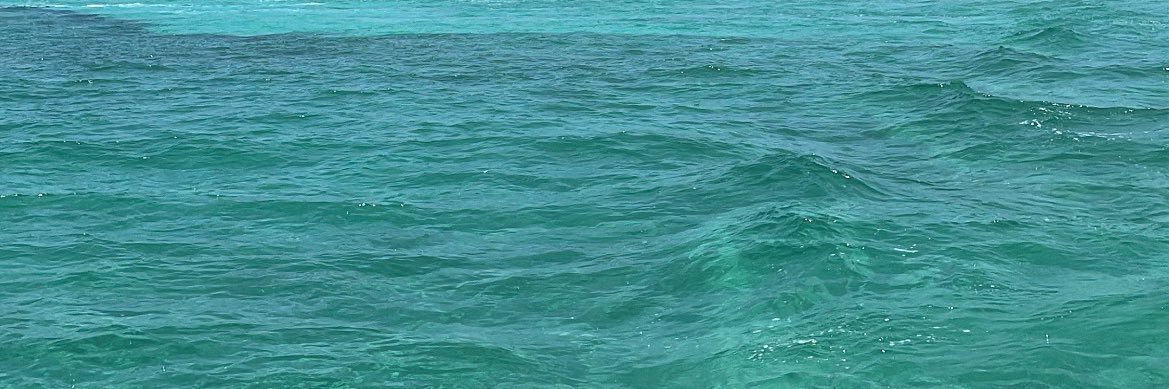 ppgv__'s profile banner image
