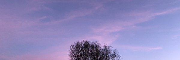 ZepTurn Profile Banner