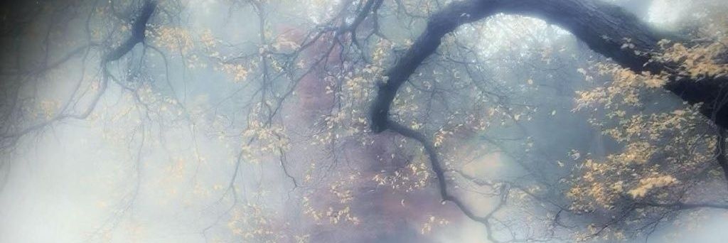 Futile Devices banner