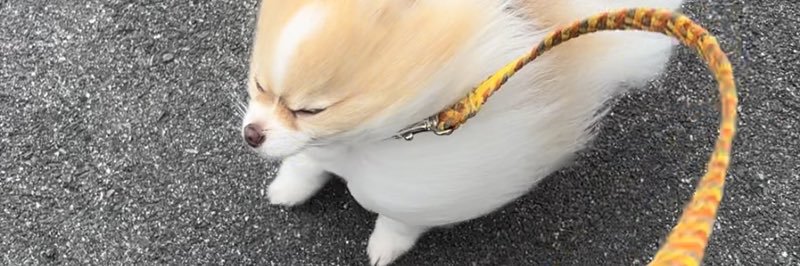 grrrrrrrrrrr banner