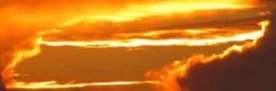 san_dee1's profile banner image