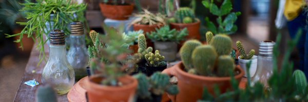 TMWS__ Profile Banner