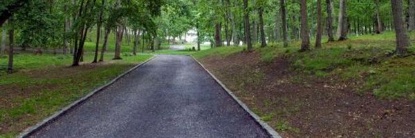 doctora Profile Banner