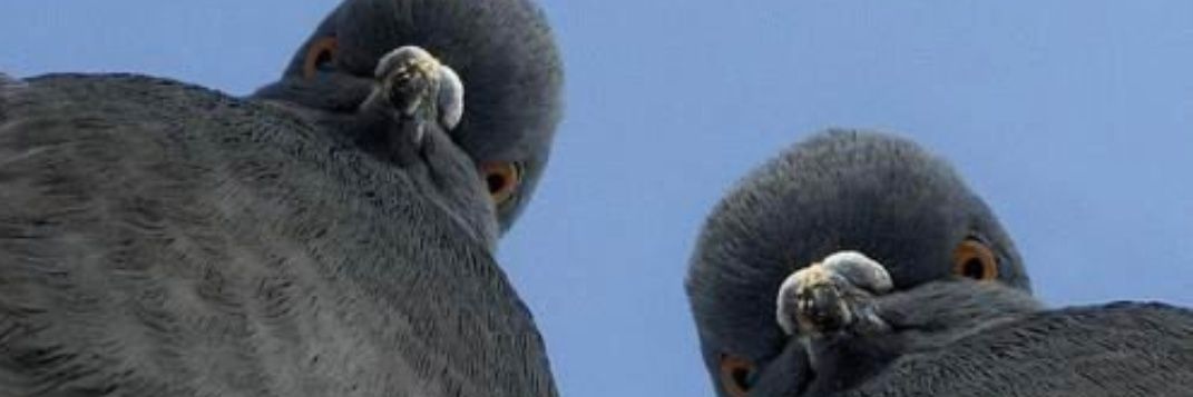 malenahoffmann's profile banner image