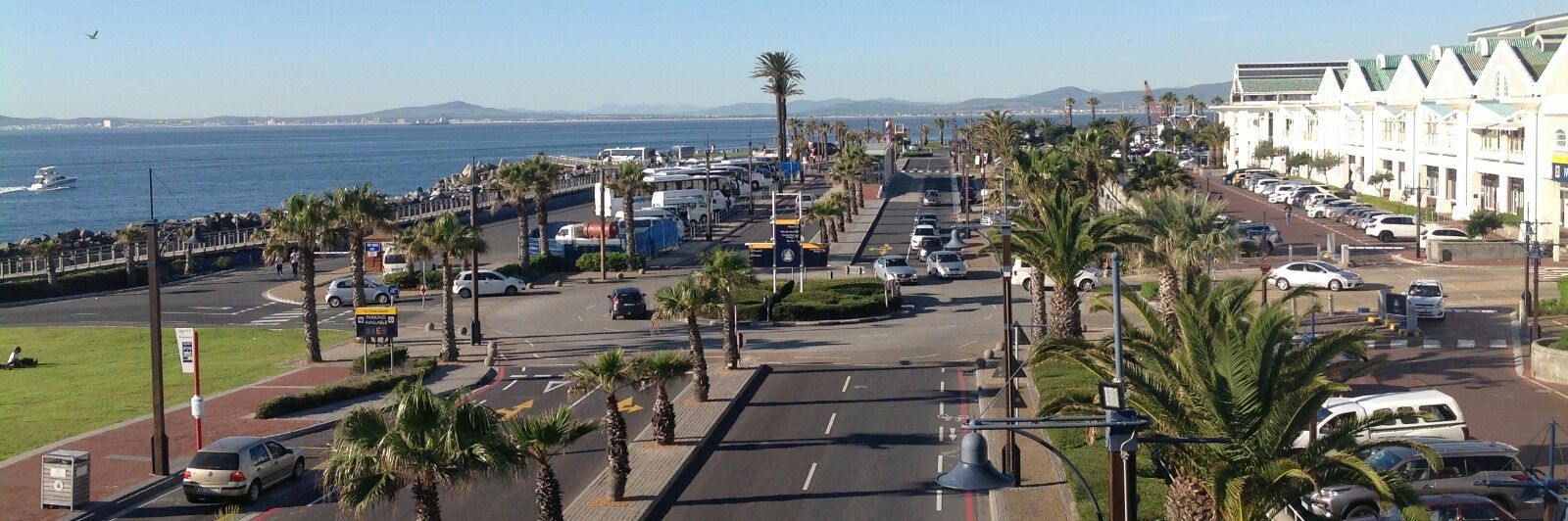 Portia Adade Williams banner