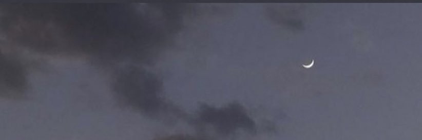 ~.❀.~ banner
