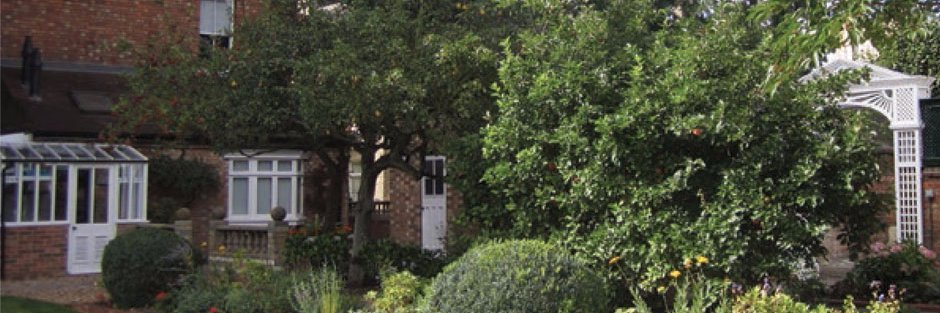 The Panacea Trust banner