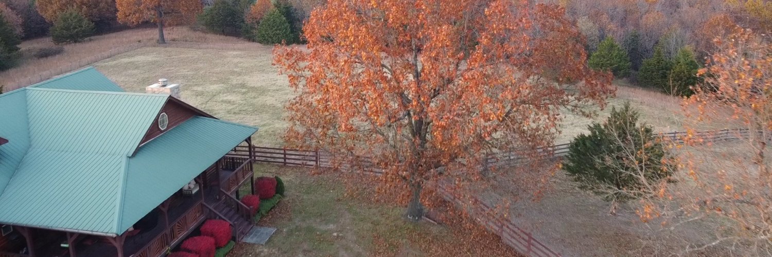 LisaDiane3092's profile banner image