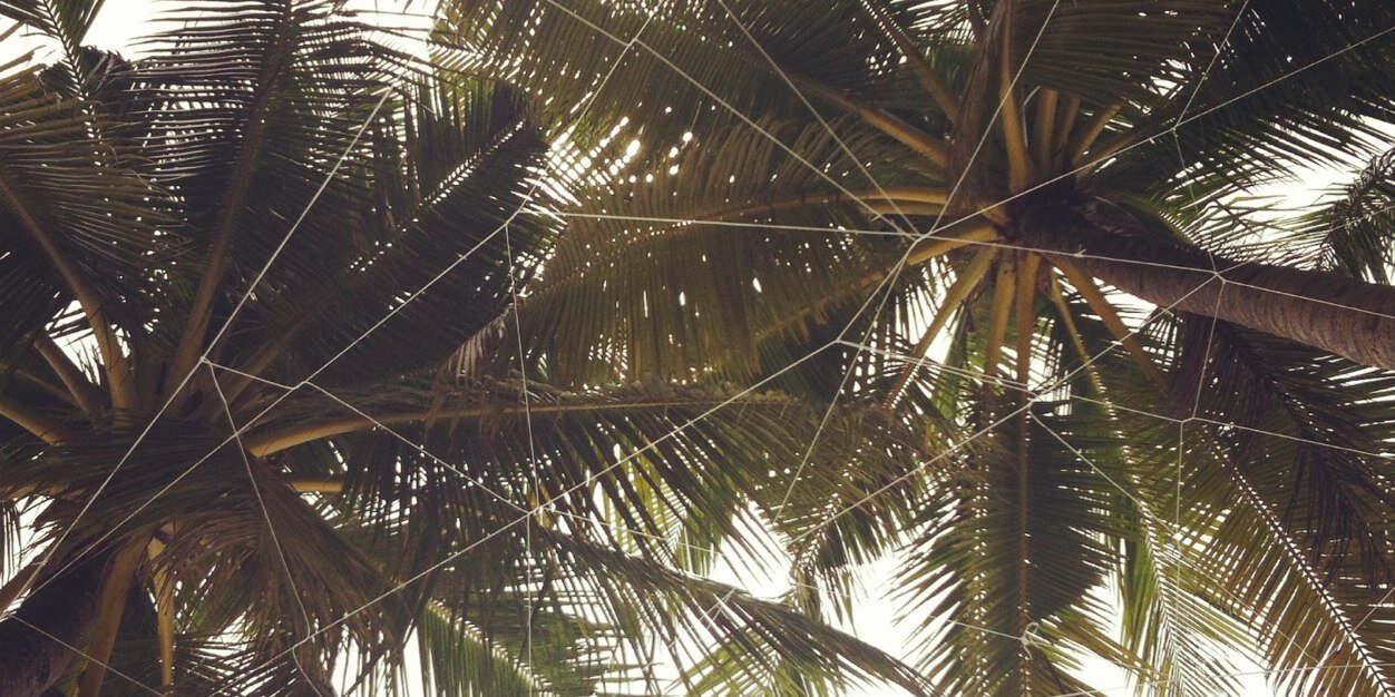 SolaceAguilar's profile banner image