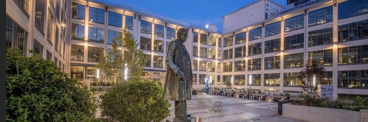 Roy Strowd, MD, MEd, MS banner