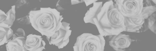 VEUVENOlR's profile banner image