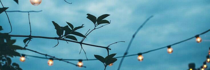PurposeLess91's profile banner image