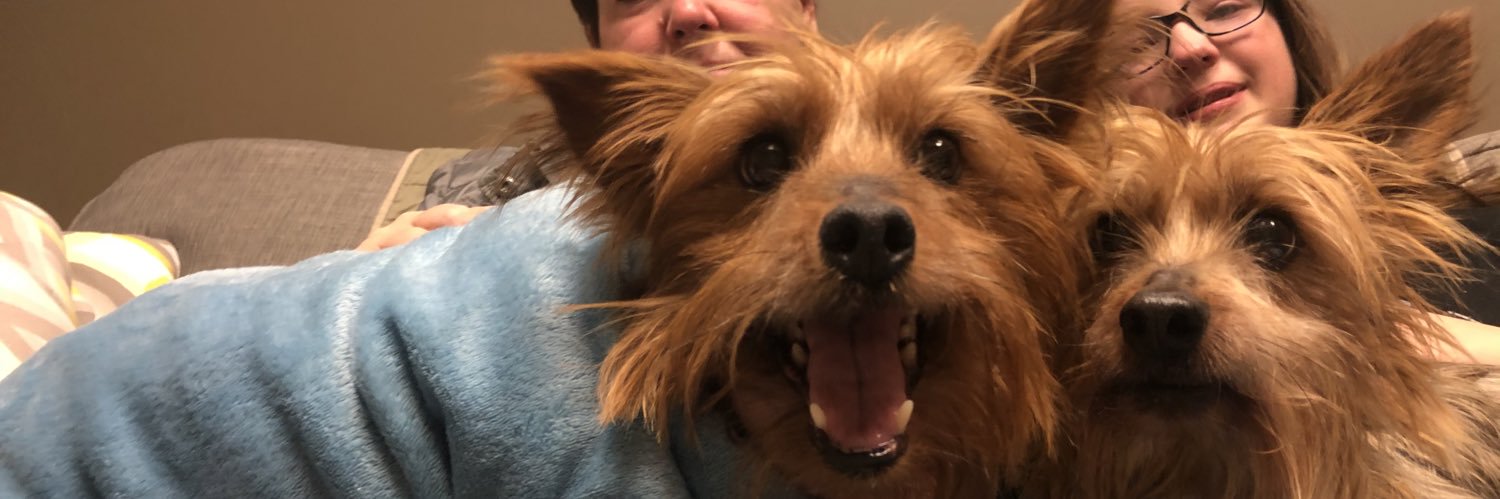 sheacress's profile banner image