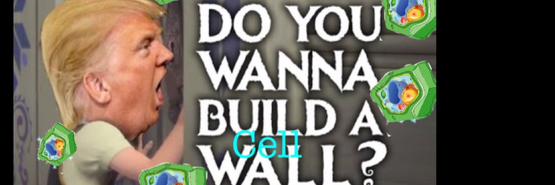 BuildCellWalll's profile banner image