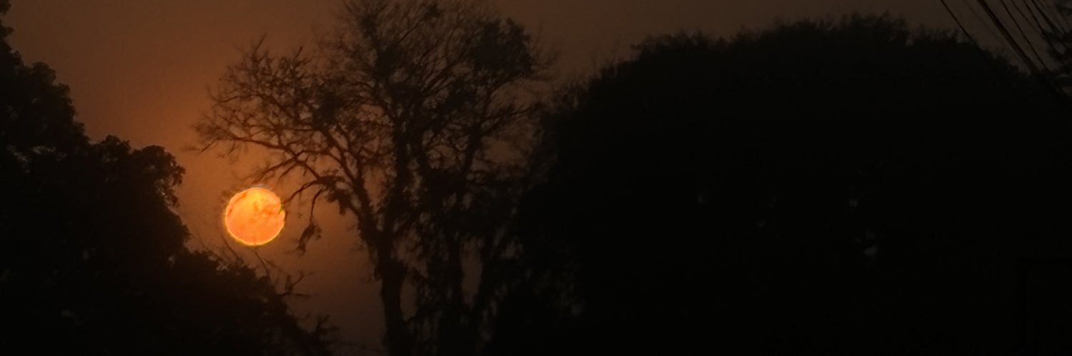 ewdudx's profile banner image