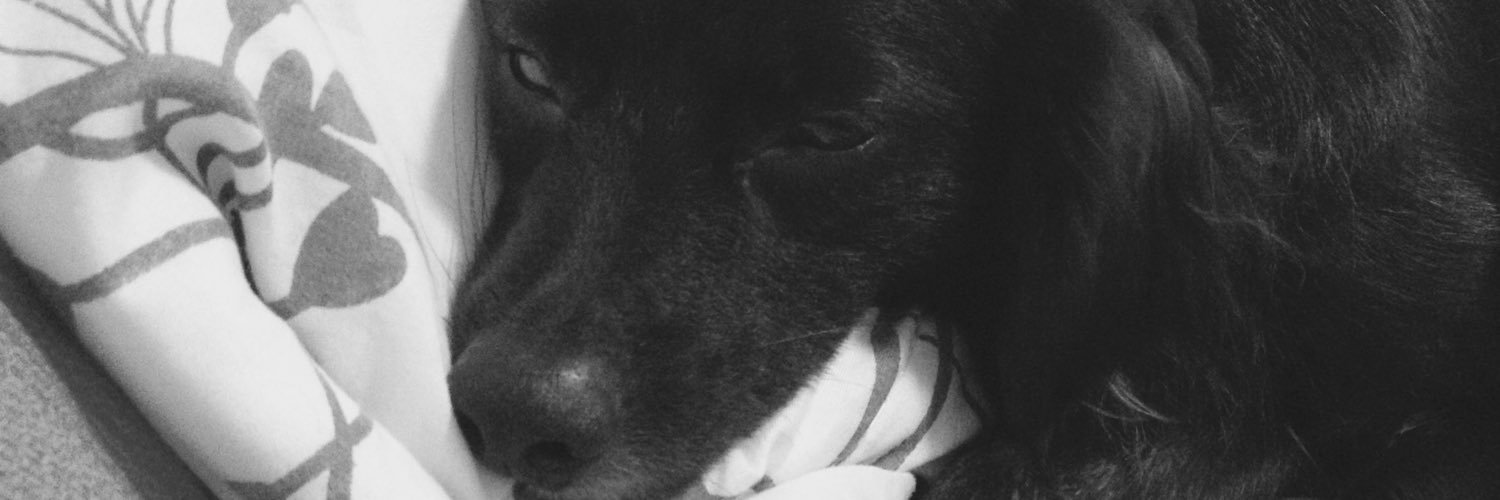 mtabsolut's profile banner image