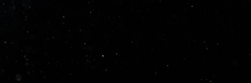 Cadillac Williams banner