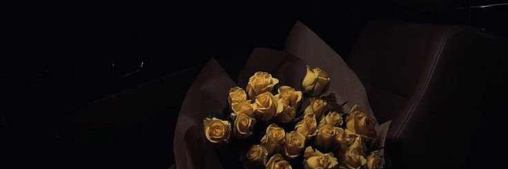 cAshams_ibrahim's profile banner image