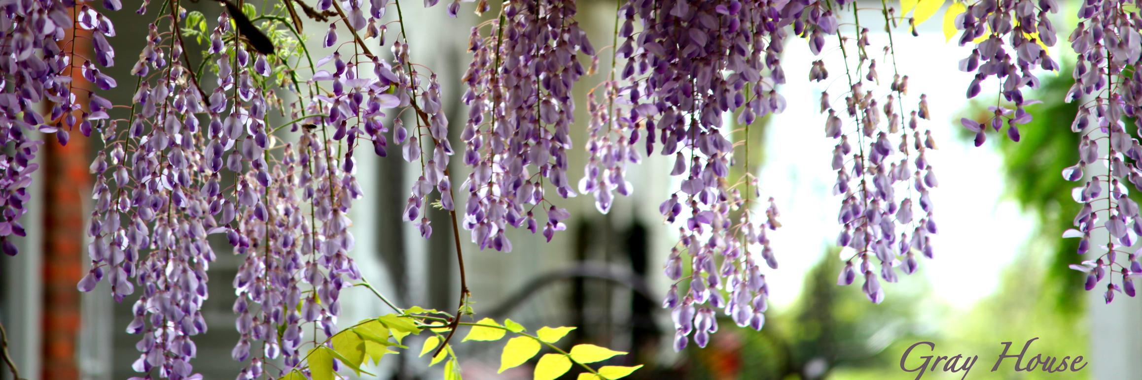 THarbinPhoto's profile banner image