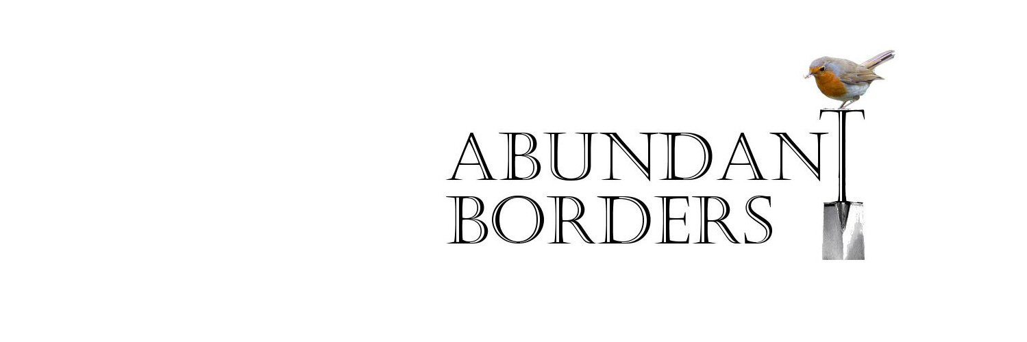 Robin Borders banner