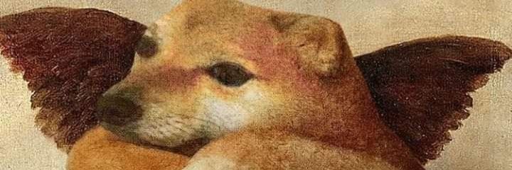 princesaderusia's profile banner image
